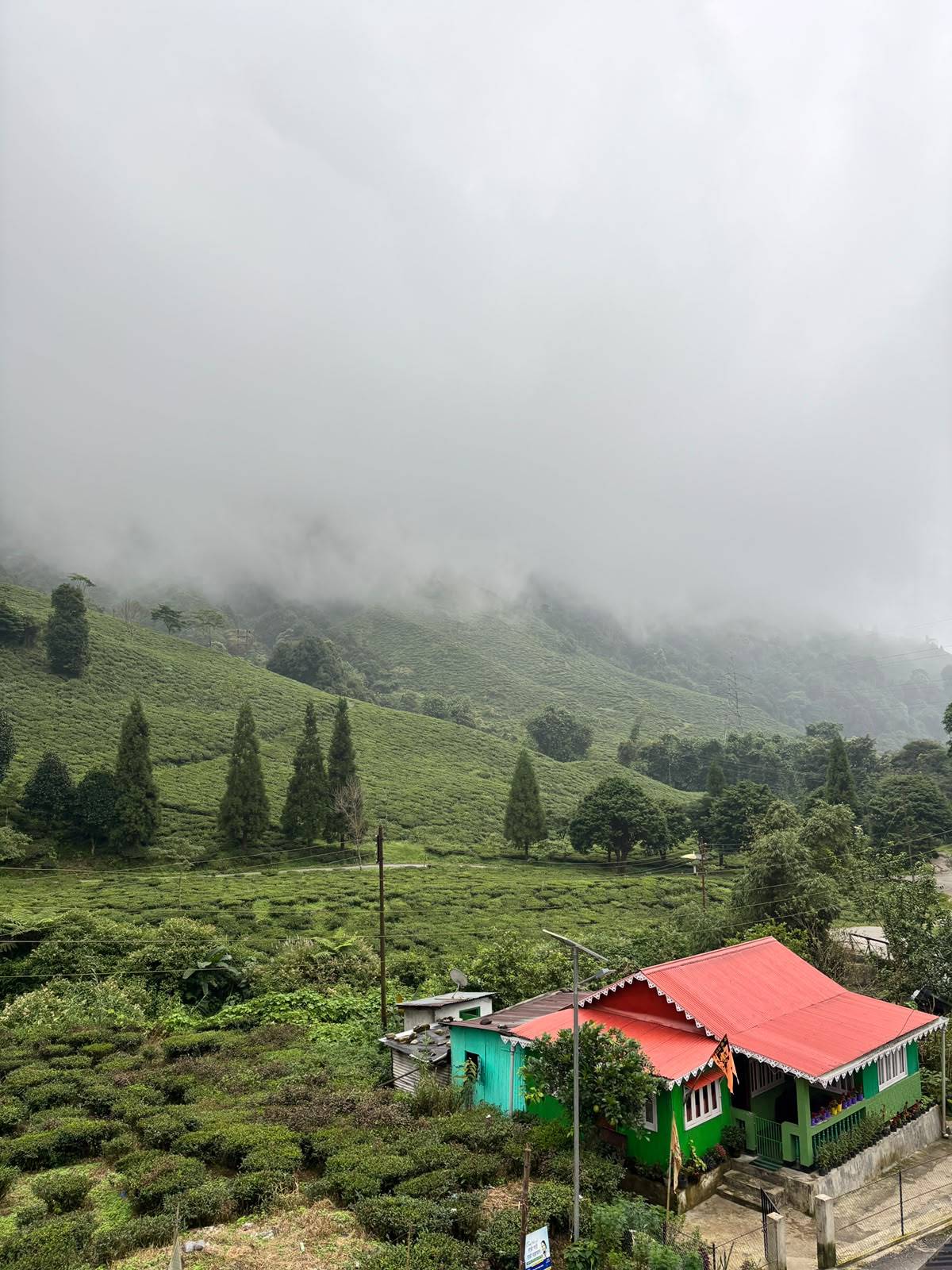 Tea Nest Homestay photo 6