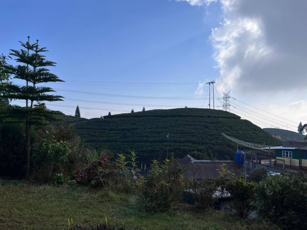 Manjosila Homestay photo 5