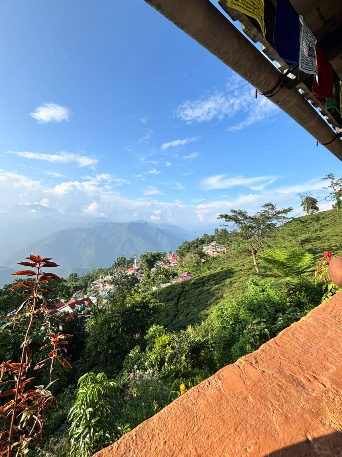 Koilee Homestay photo 4
