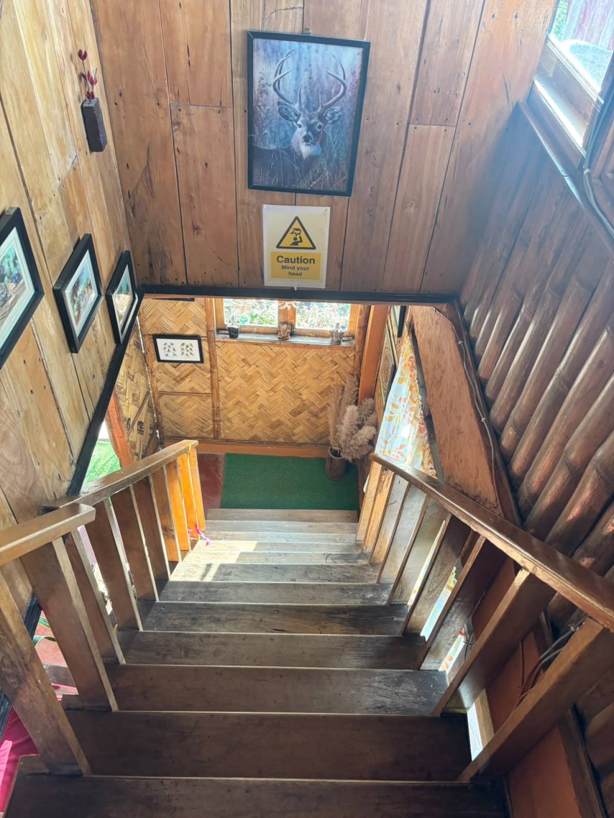 Koilee Homestay photo 5