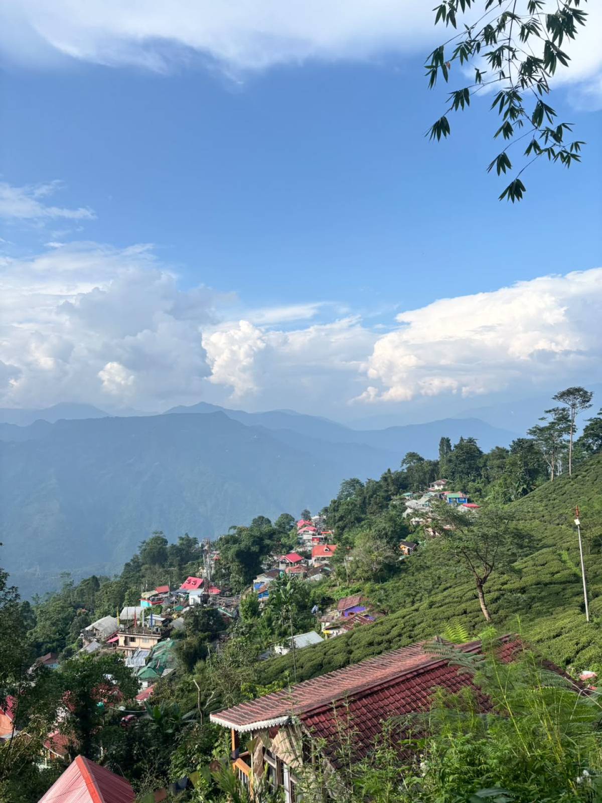 Koilee Homestay photo 15