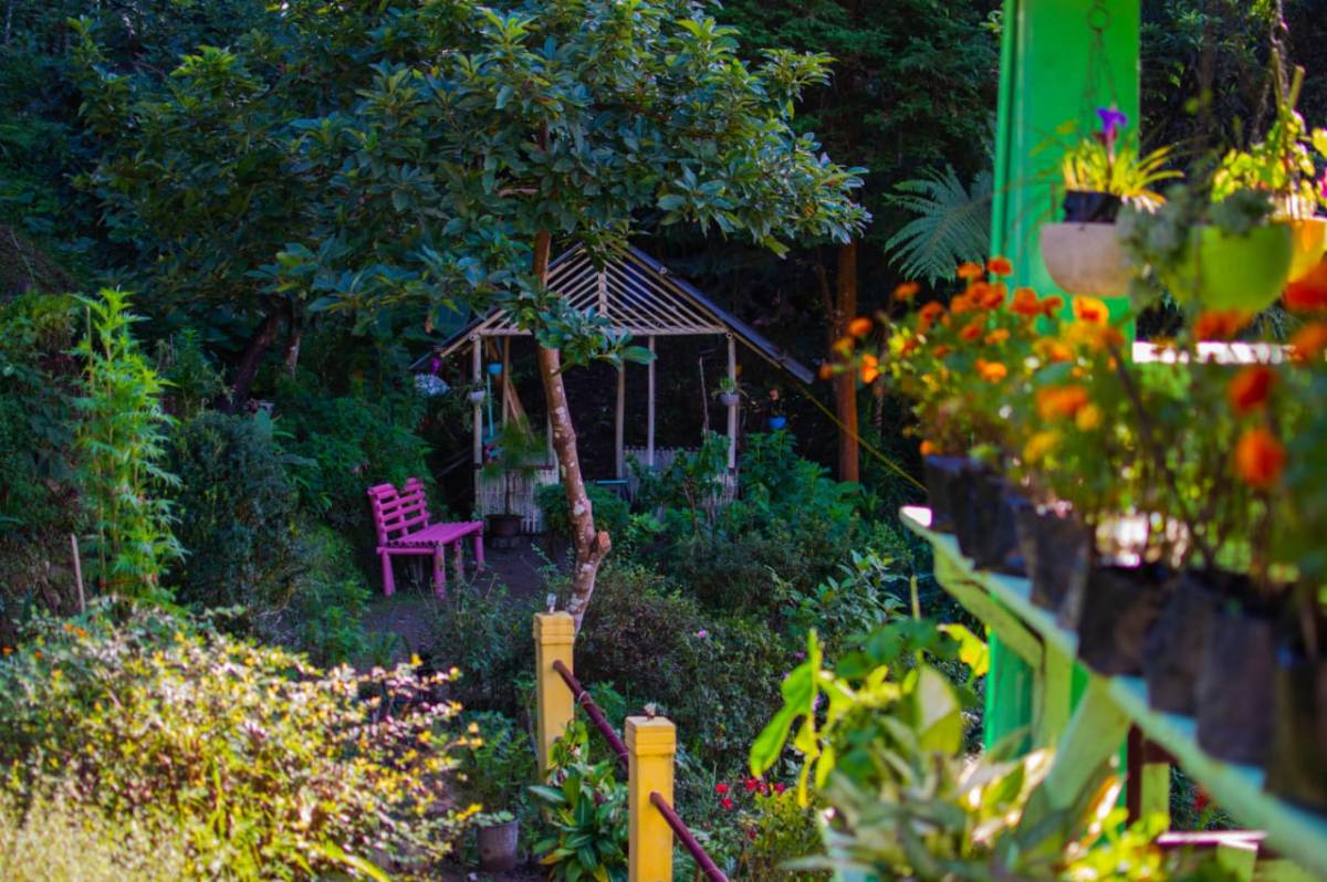 Glory Homestay photo 4