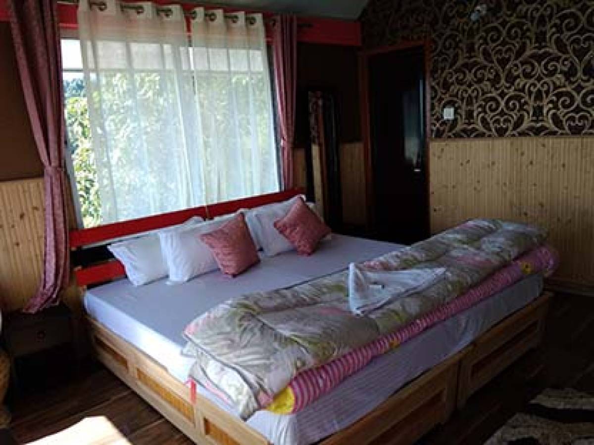 Darjeeling Blossom Eco Tourism Complex photo 3