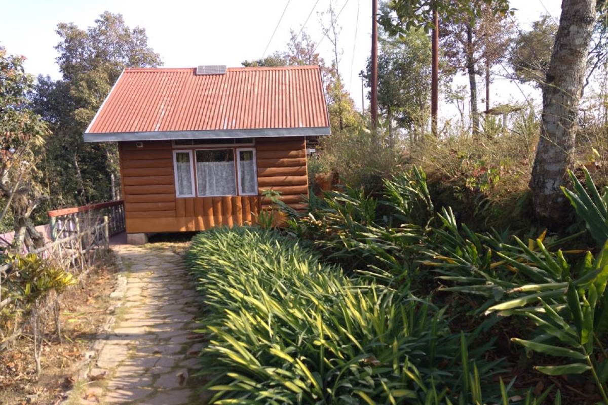 Darjeeling Blossom Eco Tourism Complex photo 7