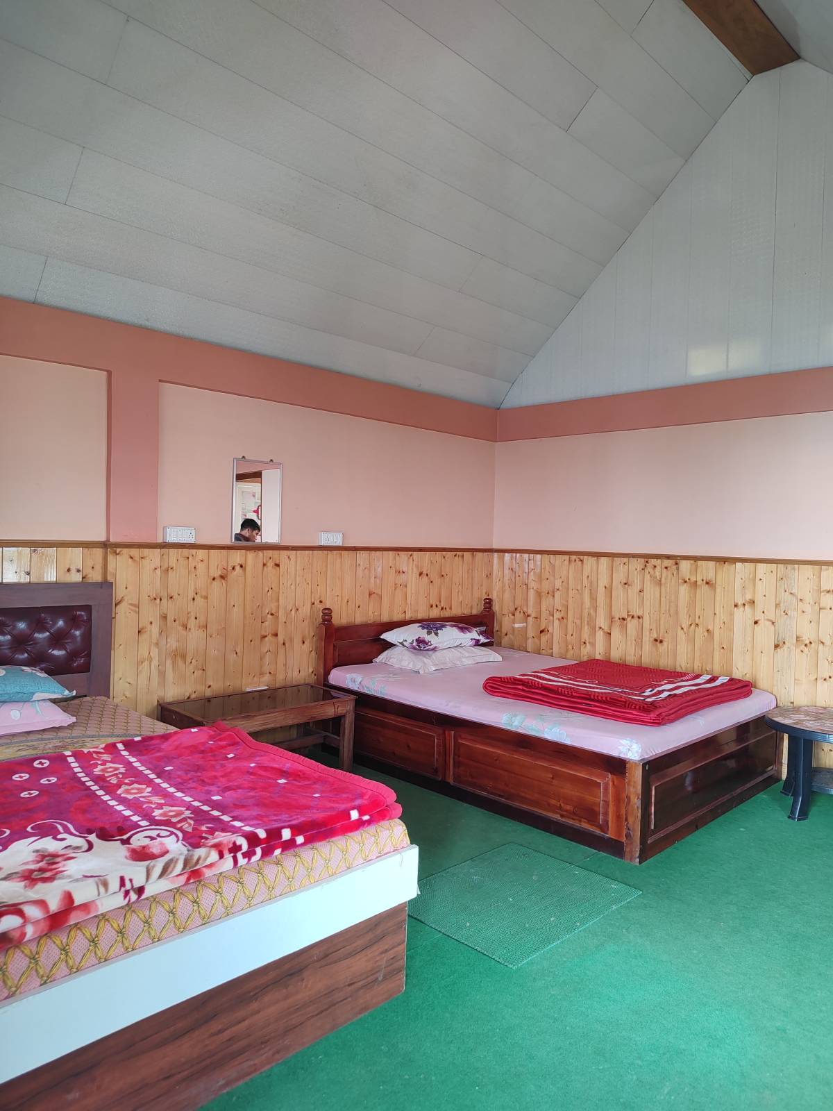 Go Green Homestay photo 2
